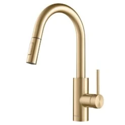 Oletto Single-Handle Pull-Down Sprayer Kitchen Faucet In Gold
