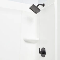 Delta Trinsic Matte Black 1-Handle Shower Faucet