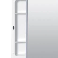 Project Source 16.13-in X 20.13-in Rectangle Surface/Recessed Mirrored Medicine Cabinet -Household Items Sales 043197141040 15370851 1800x1800