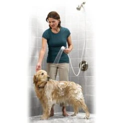 Rinse Ace Snap'n Spray Chrome 1-Spray Handheld Shower 2-GPM (7.6-LPM) -Household Items Sales 047968941303 09098693 1800x1800