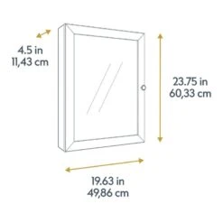Style Selections 19.5-in X 23.7-in Rectangle Surface Mirrored Medicine Cabinet -Household Items Sales 094803166704 15525486 1800x1800