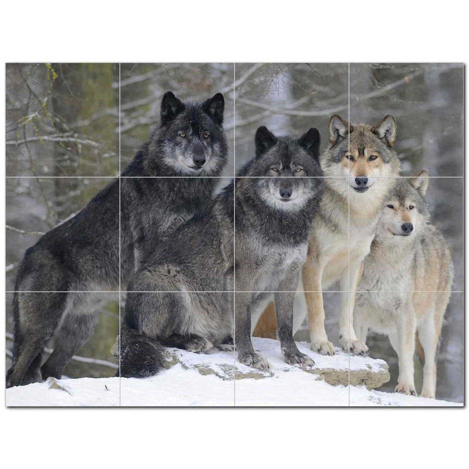 Wolf Wolves Ceramic Tile Mural Kitchen Backsplash Bathroom Shower 403125-S43 3 Wolf Wolves Ceramic Tile Mural Kitchen Backsplash Bathroom Shower 403125-S43