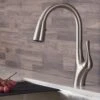 Merlin Single-Handle Pull-Down Sprayer Kitchen Faucet With Dual Function Sprayhead In Spot Free Stainless Steel