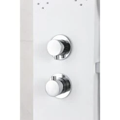 ANZZI Swan White 6-Spray Shower Panel System (Valve Included) -Household Items Sales 191042003521 09063695 1800x1800