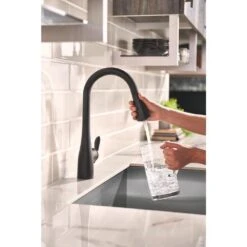 Arbor Single-Handle Pull-Down Sprayer Kitchen Faucet With Reflex And Soap/Lotion Dispenser In Matte Black -Household Items Sales 4145d581d5d74ba691e98f736b92d515 1800x1800