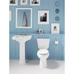 KOHLER Archer 20-7/16 In. Vitreous China Pedestal Sink Basin In White With Overflow Drain -Household Items Sales 460444f22c702416c30cc719442f9056 1800x1800