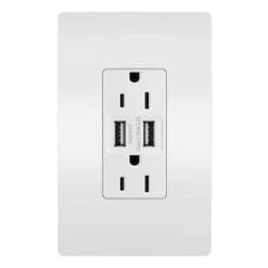 Legrand Radiant White 15-Amp Decorator Tamper Resistant With Wall Plate Residential Usb Outlet