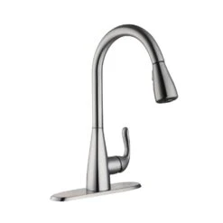 Carla Single-Handle Pull-Down Sprayer Kitchen Faucet In Stainless Steel