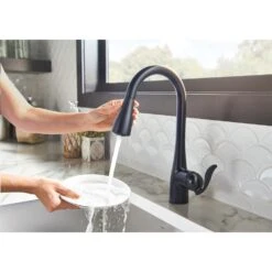 Arbor Single-Handle Pull-Down Sprayer Kitchen Faucet With Reflex And Soap/Lotion Dispenser In Matte Black -Household Items Sales ef2bf4ed8e7ce8db6772713abd44c54e 1800x1800
