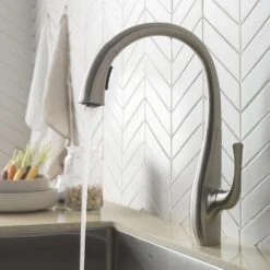 Spot Free Ansel Single-Handle Pull-Down Sprayer Kitchen Faucet In All-Brite Stainless Steel -Household Items Sales f1d9a849073d364030b171d743560a9e 1800x1800